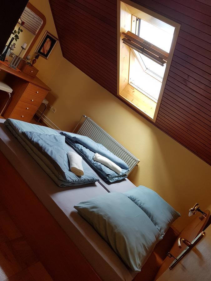 Apartment Manca Любляна Экстерьер фото